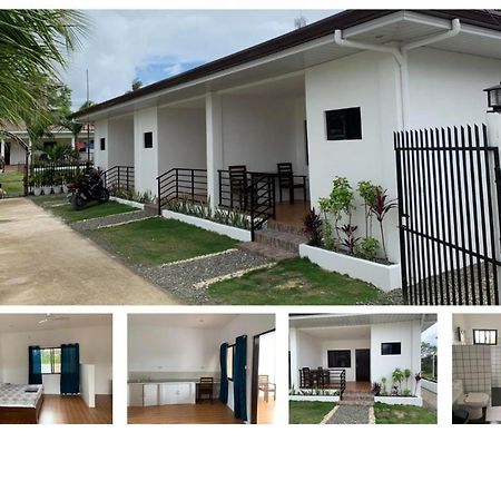 Palm Tree Lodge 몰볼 외부 사진