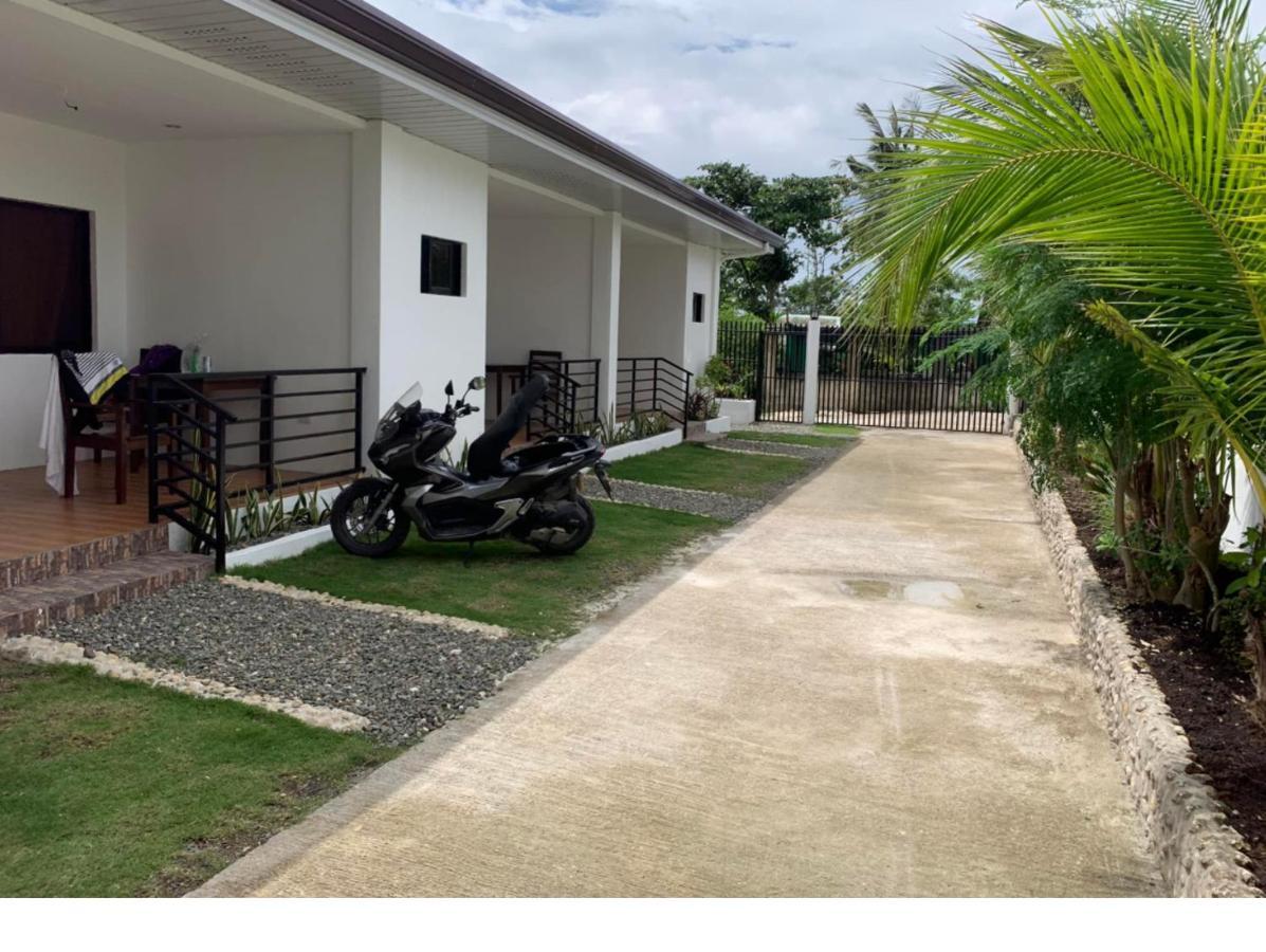 Palm Tree Lodge 몰볼 외부 사진