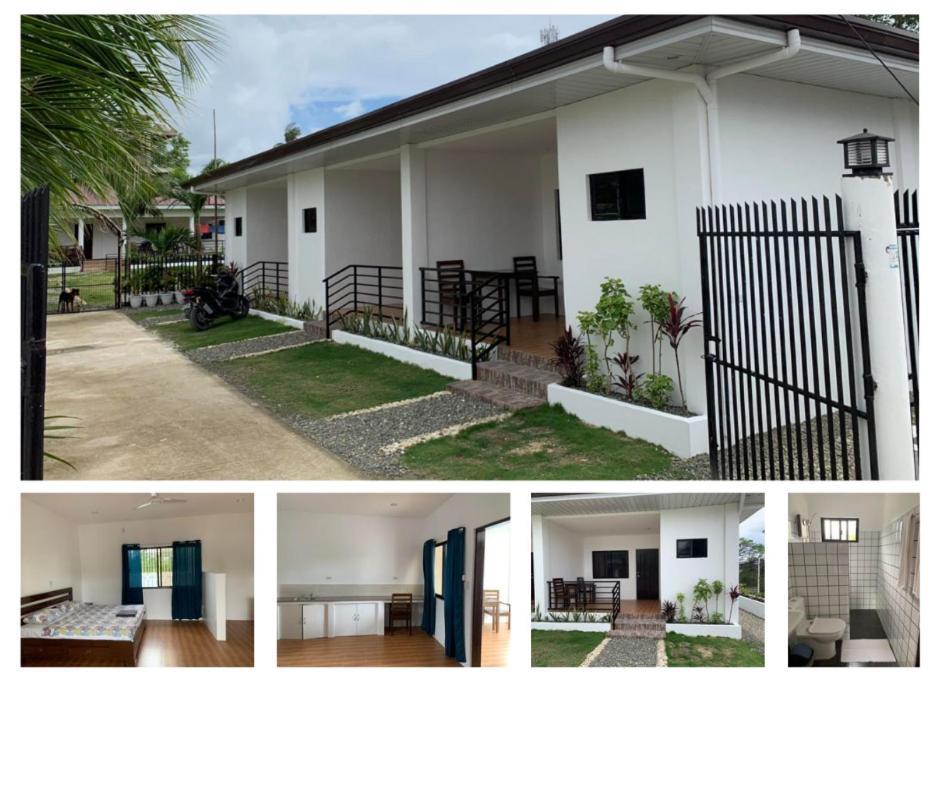 Palm Tree Lodge 몰볼 외부 사진