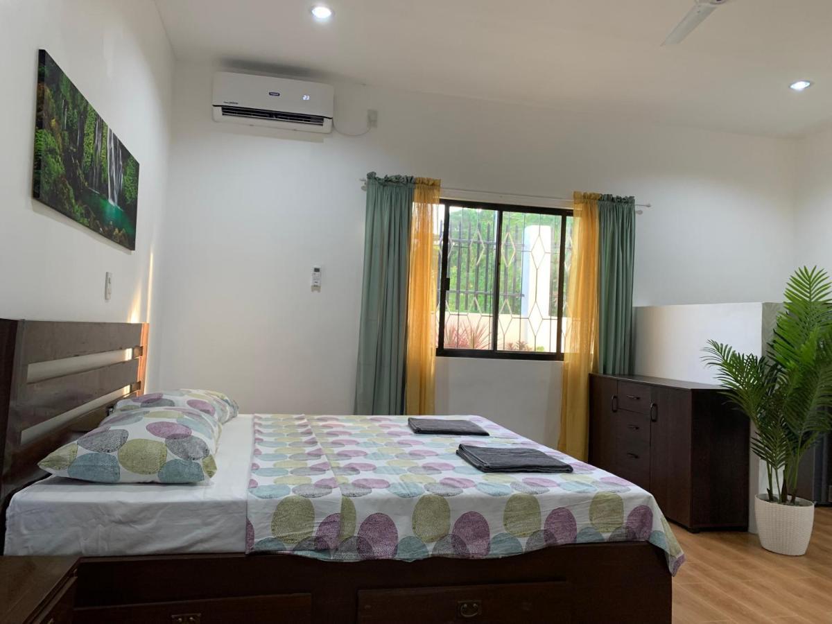 Palm Tree Lodge 몰볼 외부 사진